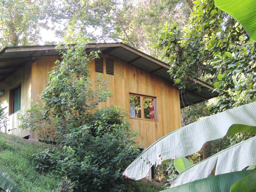 Cabanas Bajo Bosque Drake Drake Bay Exterior photo